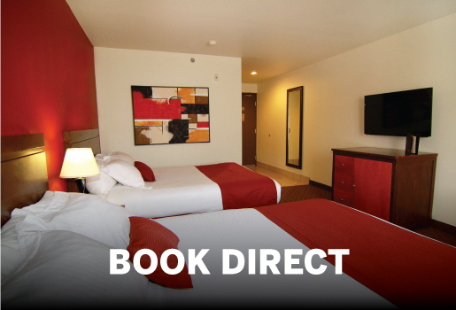 BOOK DIRECT AT THE NUGGET